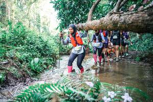 BIB: 
                            <button type="button" onclick="openModal(25475959)" class="btn btn-primary btn-sm float-right btn-popup" data-toggle="modal" data-target=".modal-high-quality">
                        <i class="fas fa-shopping-cart"></i> Add to Cart
                    </button>
                                            <button type="button" onclick="isThisMe(25475959, true)" class="btn btn-success btn-sm float-right btn-popup btn-isme hidden" data-toggle="tooltip" data-placement="bottom" title="นี่คือรูปของคุณใช่ไหม คลิกที่นี่เพื่อเอาเข้าอัลบั้ม">
                        <i class="fas fa-plus"></i> Add to album
                    </button>
                    <button type="button" onclick="isThisMe(25475959, false)" class="btn btn-warning btn-sm float-right btn-popup btn-isnotme hidden">
                        <i class="fas fa-ban"></i> Remove from album
                    </button>